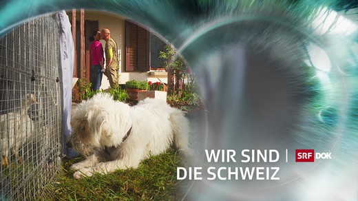 Bild von Neue «DOK»-Serie «Wir sind die Schweiz»