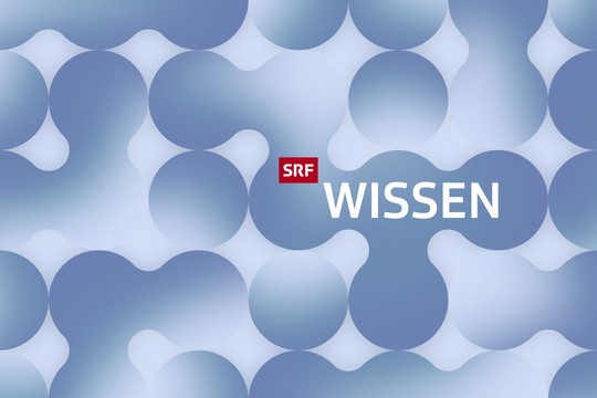 Bild von «Wissen für alle»: SRF-Videos zur freien Nutzung