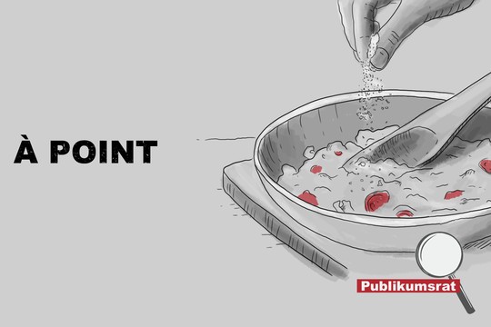 Bild von Im Fokus des Publikumsrats: «À point»