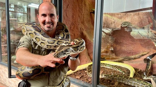 Bild von Viele Auslandschweizer:innen haben Sehnsucht nach der Schweiz