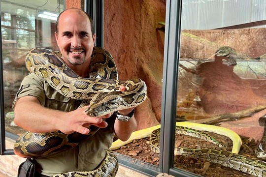 Bild von Viele Auslandschweizer:innen haben Sehnsucht nach der Schweiz