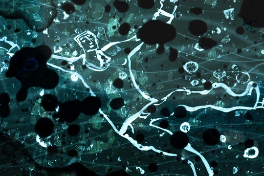 Bild von Goldener Leopard für «Die Brücke über den Fluss»