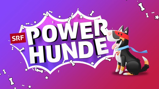 Bild von «Powerhunde» zeigen ihre Superkräfte