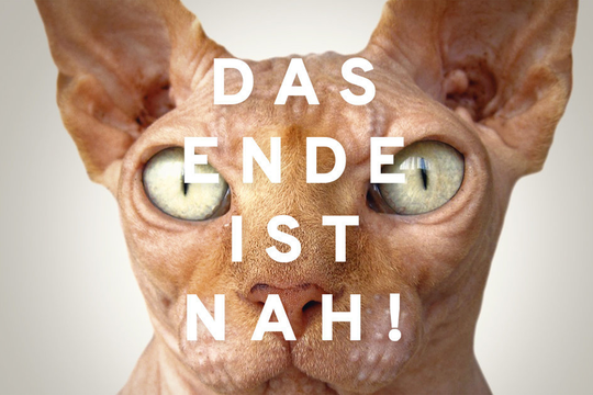 Bild von «Die Weltherrschaft»: SRF, ORF, Arte und BR starten transmediales Projekt