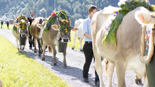 Bild von Neuer Schnittstellen Test