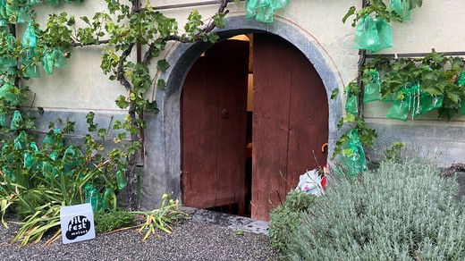 Bild von M wie Malans – M wie Marrakesch: SRG Ostschweiz am Film-Fest