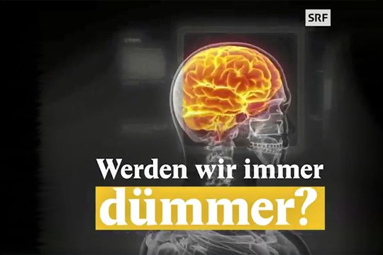 Bild von «Nouvo» über sinkenden IQ war rechtens