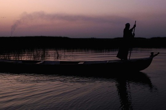 Bild von Der Kinofilm «Al-Baseer» entsteht als SRF-Koproduktion