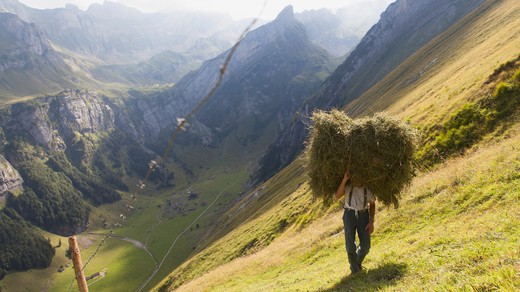 Bild von «DOK»: Alpzyt