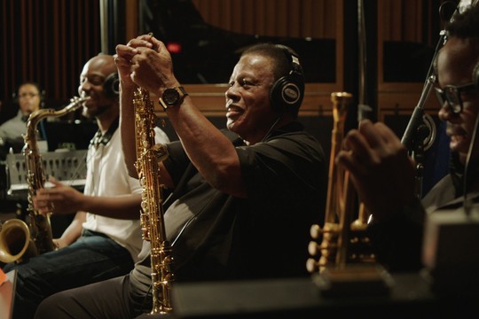 Bild von SRF-Koproduktion ausgezeichnet