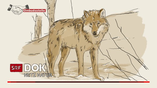 Bild von Viele Beanstandungen gegen «Netz Natur»