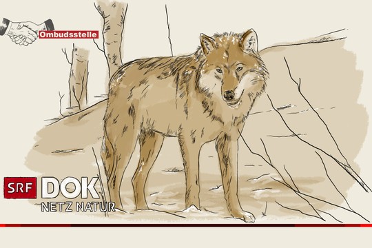 Bild von Viele Beanstandungen gegen «Netz Natur»