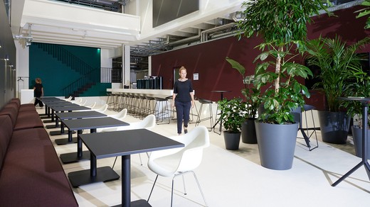 Bild von Der Mensch im Mittelpunkt