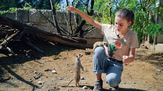 Bild von «Gwunderfitz»: Kinder entdecken die Welt der Erwachsenen