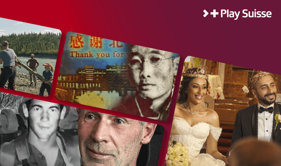 Kollage mit Bildern aus den Filme der Kollektion «Endstation Wildnis»