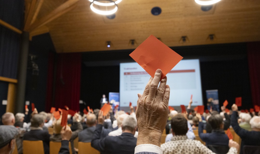 Erhobene Hände mit Stimmkarten