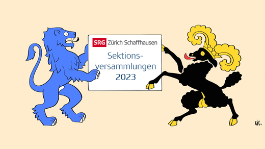Bild von Sektionsversammlungen 2023
