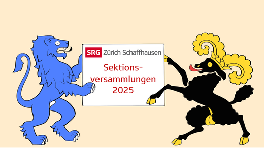 Bild von Sektionsversammlungen 2025