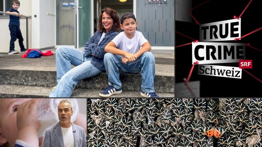 Bild von SRG-Programmtipps der Woche:  Schwarmintelligenz und Einzelkämpfer