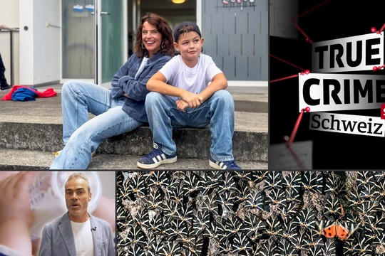 Bild von SRG-Programmtipps der Woche:  Schwarmintelligenz und Einzelkämpfer