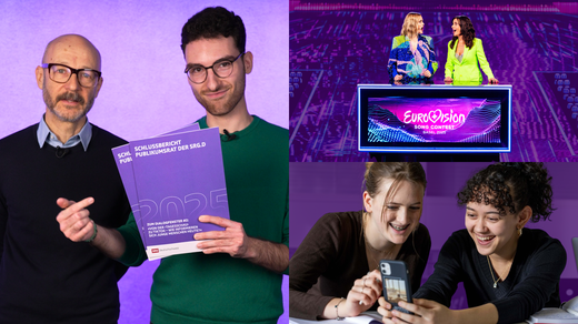 Bild von Schlussberichte des Publikumsrats zu den Dialogfenstern 2025 jetzt online