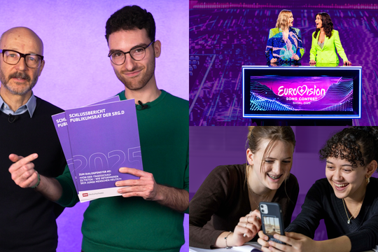 Bild von Schlussberichte des Publikumsrats zu den Dialogfenstern 2025 jetzt online