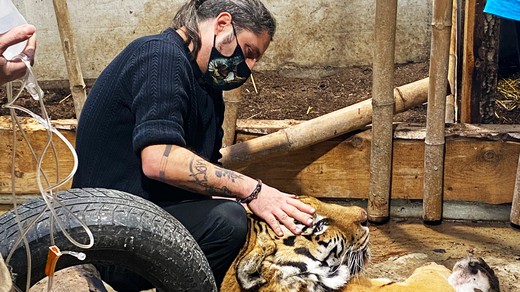 Bild von «SRF bi de Lüt – Echte Tierhelden»: Start der neuen Staffel