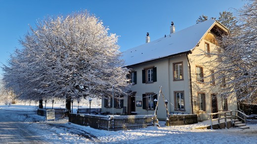 Bild von AUSGEBUCHT! Jubiläumsbrunch in Reinach