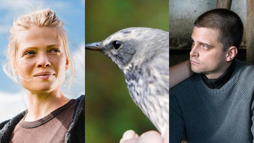 Bild von SRG-Programmtipps der Woche: Cookies und tierische Instinkte