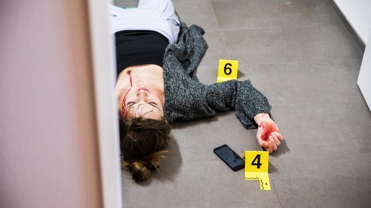 Bild von «Einstein» am Tatort: Wenn die Wissenschaft Verbrecher jagt