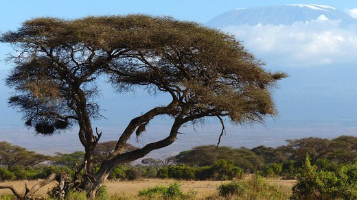 Bild von «Die Welt verstehen» mit Patrik Wülser, SRF-Afrika-Korrespondent 