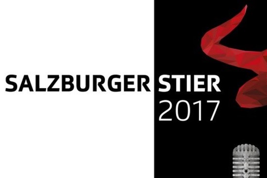 Bild von Programmkommission - Beobachtung «Salzburger Stier»