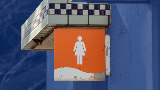 Bild von Ombudsstelle: Sammelband zum Thema «Frauen-Toilette» war sachgerecht