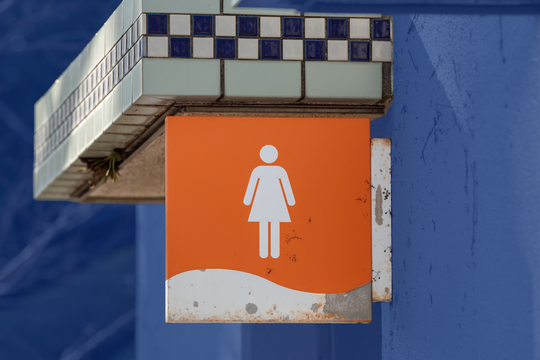 Bild von Ombudsstelle: Sammelband zum Thema «Frauen-Toilette» war sachgerecht