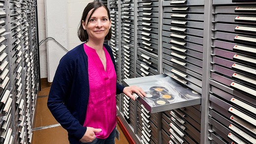 Bild von 1600 Stunden SRF-Filmmaterial digitalisiert