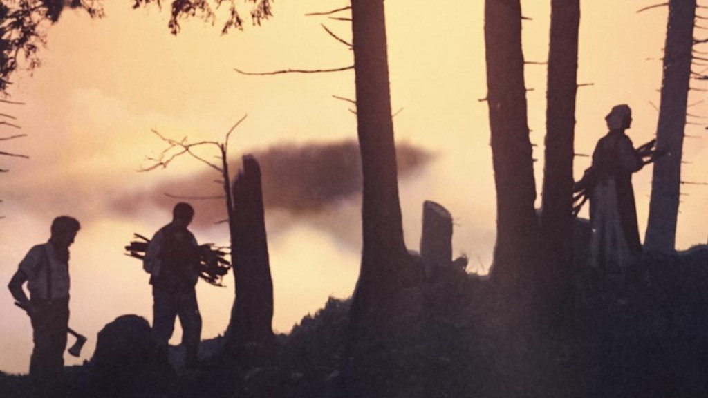 Menschen im Wald, die Brennholz sammeln