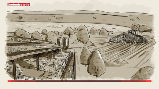 Bild von DOK «Unser täglich Fleisch» war sachgerecht