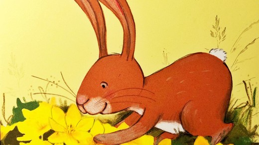 Bild von «SRF Kids Hörspiel»: Doppelhas Gwundernas