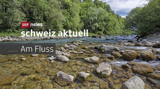 Bild von Eine Nase für gute Geschichten