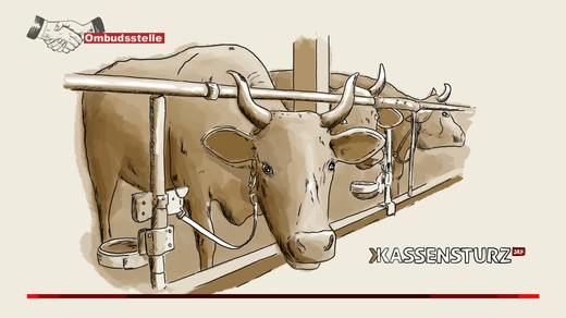 Bild von «Kassensturz»: Beitrag über Anbindeställe war ausgewogen