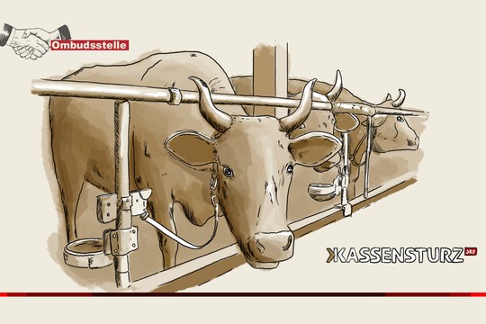 Bild von «Kassensturz»: Beitrag über Anbindeställe war ausgewogen