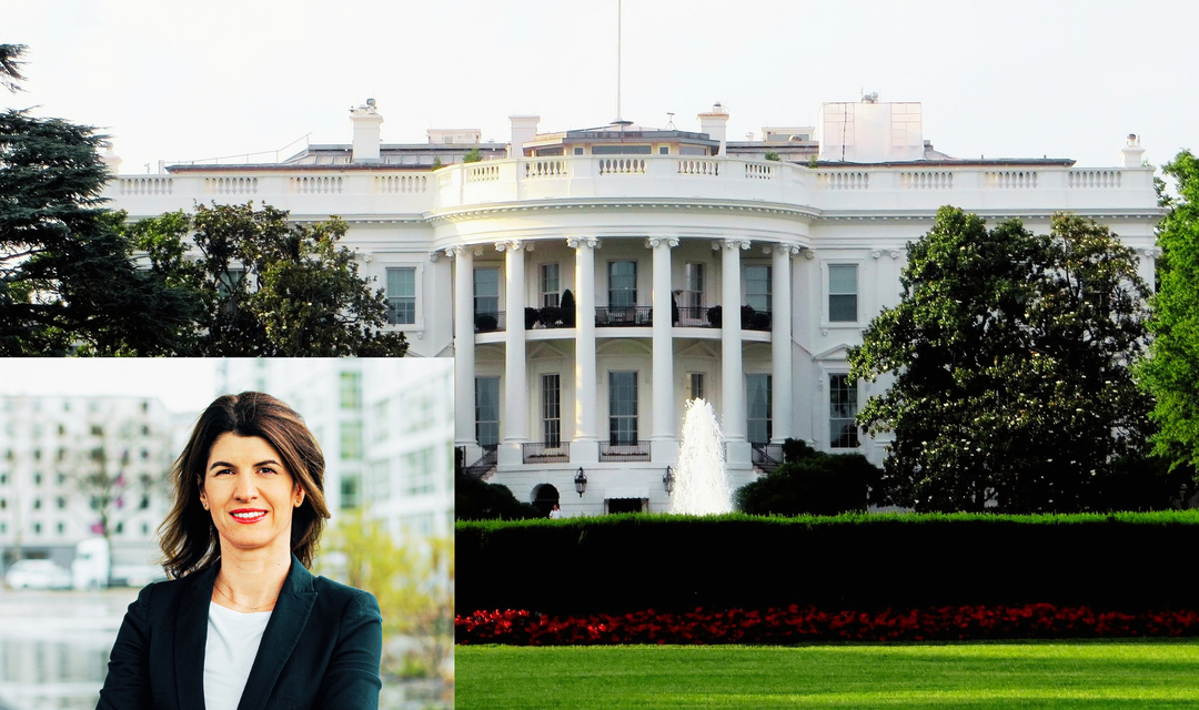Bild von USA Midterms - Was steht auf dem Spiel?