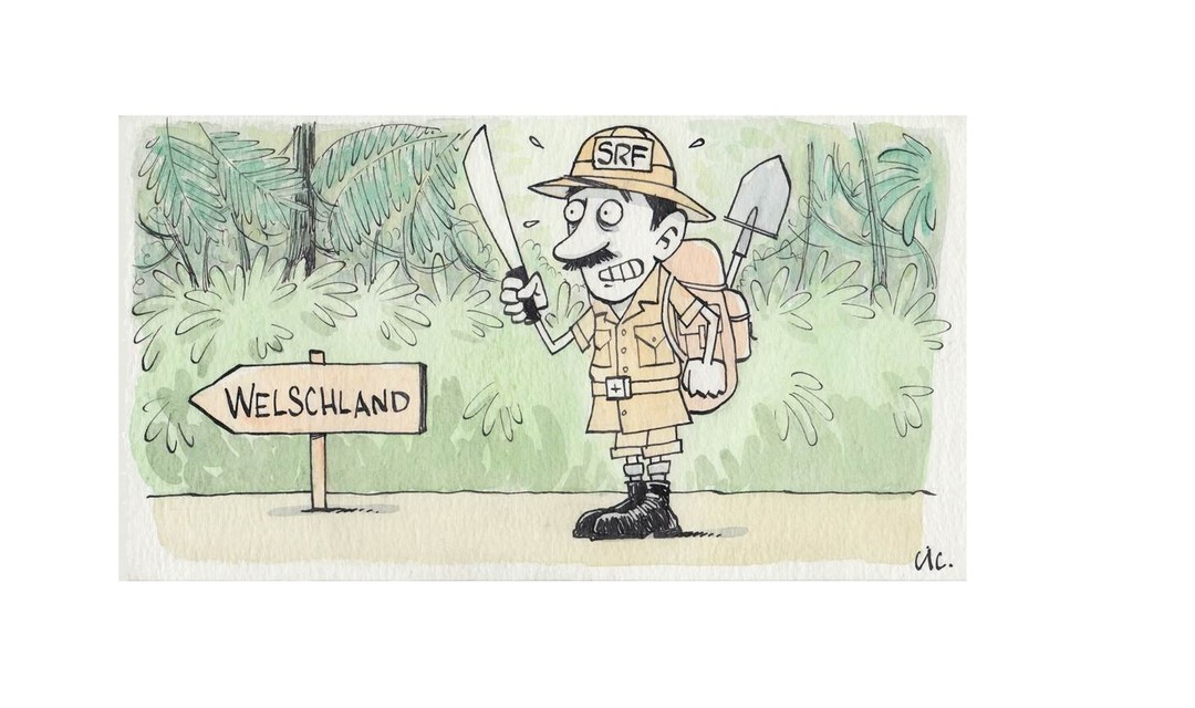 Bild von «Mein Senf»: Wie war das noch mit idée suisse?