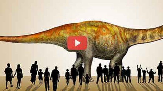 Bild von  Unsinnig und verfälschend? Kritik an Dinosaurier-Sendung