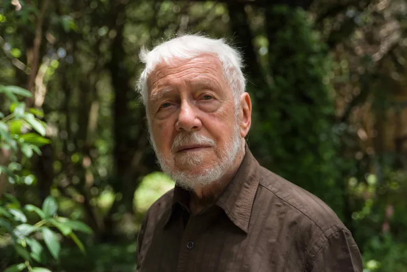 Mexiko war das Land, wo von Gunten seinen künstlerischen Freiraum fand