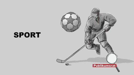 Bild von Im Fokus des Publikumsrats: SRF Sport