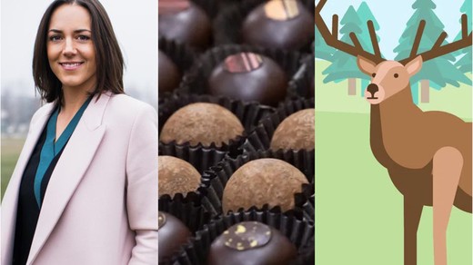 Bild von SRG-Programmtipps der Woche: Bücherlust und Schokoladenersatz