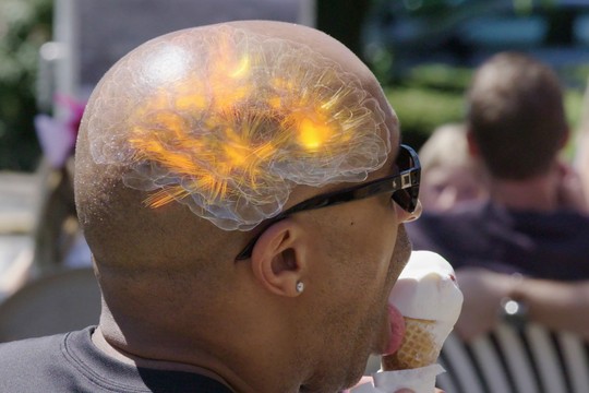 Bild von «Einstein»: Unser Gehirn ist, was es isst