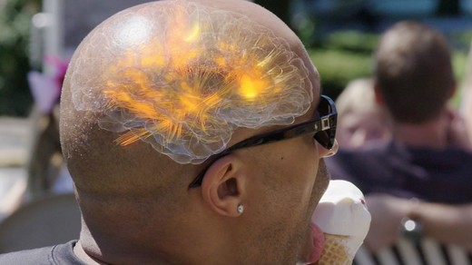 Bild von «Einstein»: Unser Gehirn ist, was es isst