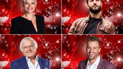 Bild von «Die grössten Schweizer Talente»: Die neue Jury